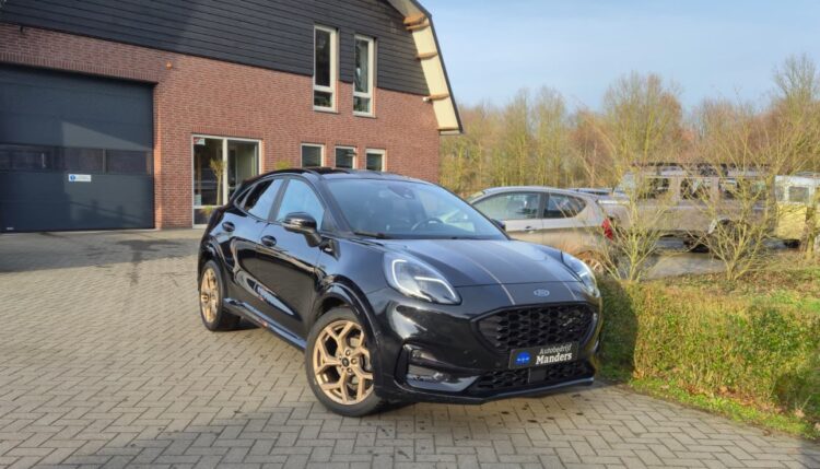 WhatsApp Image 2026-02-09 at 16.39.15 (2)